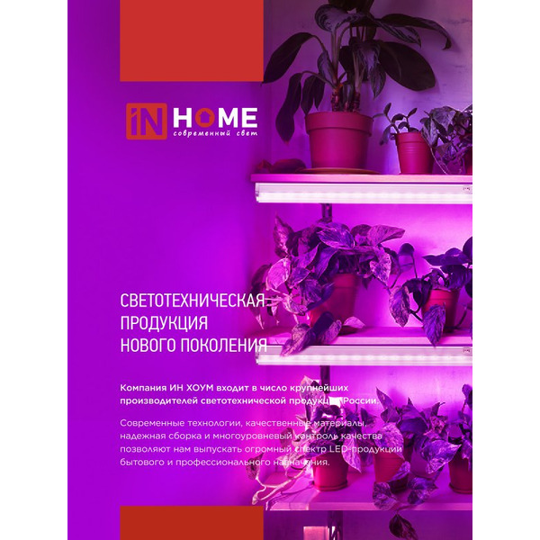 Светильник светодиодный IN HOME СПБ-110 STD-ФИТО красно-синий спектр (4690612057033)