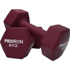 Гантели Proiron Г2060НГ (2шт по 6кг)