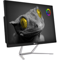 Моноблок Тесла Z24B 2108500