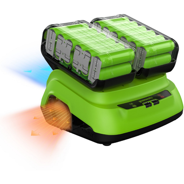 Зарядное устройство Greenworks G24X2C8 2958807 (24В)