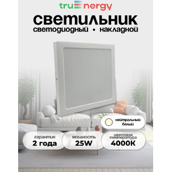Светильник TruEnergy ELECTRO 10132