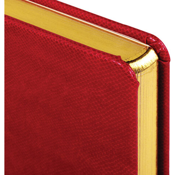 Ежедневник недатированный BRAUBERG Iguana 125092