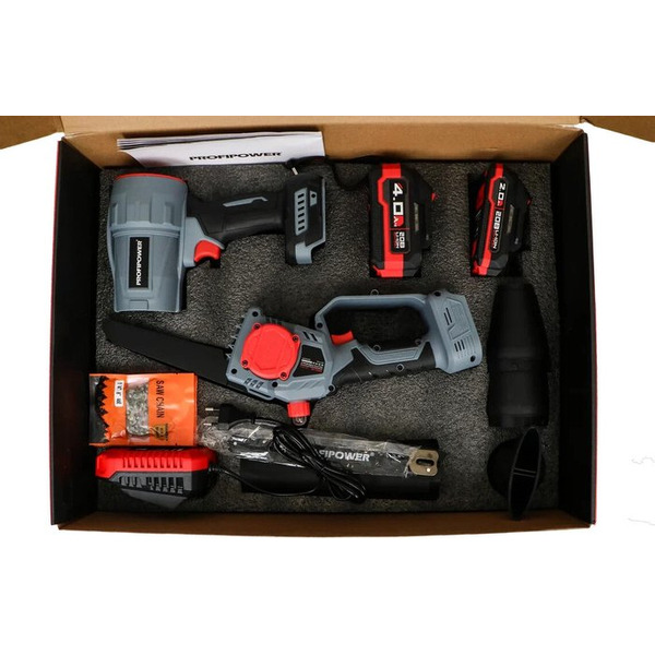 Набор инструментов Profipower ProfiSet-2D20 (воздуходувка, цепная пила)