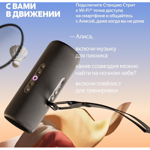 Портативная Умная колонка Яндекс.Станция Стрит YNDX-00030BLK (черный)