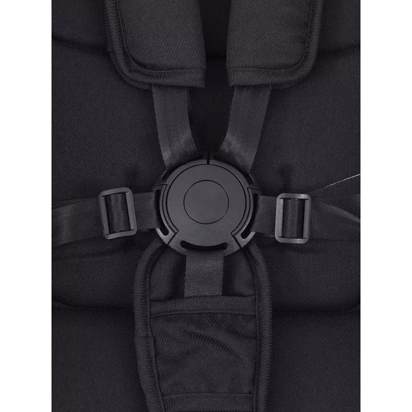 Детская универсальная коляска Rant Vector 2 в 1 / RA322 (черный)