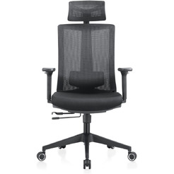 Кресло компьютерное EVOLUTION ERGO BLISS Black