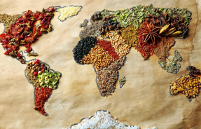 Как выбрать набор для специй?