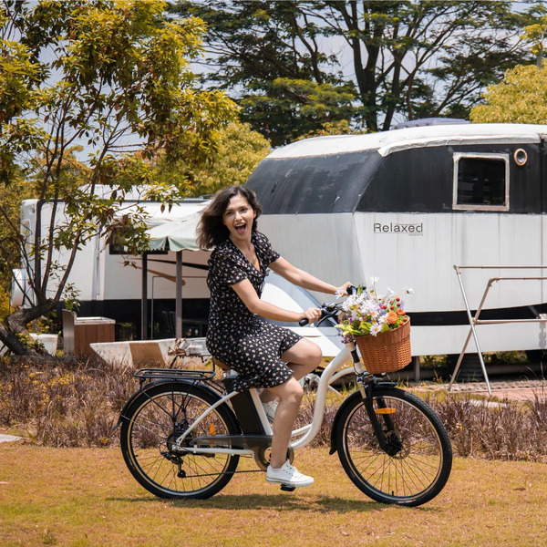 Электровелосипед DYU C6 250W (белый)