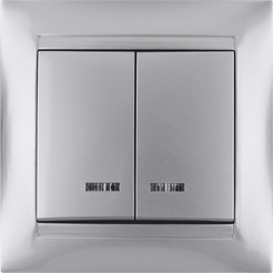 Выключатель TDM Лама SQ1815-0205