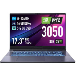 Игровой ноутбук THUNDEROBOT 911 Plus SE (JT009C00HRU)