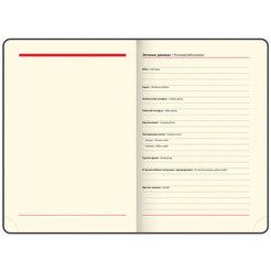 Ежедневник недатированный BRAUBERG Status 113363