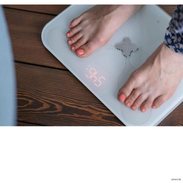 Напольные весы Picooc S3 Lite V2