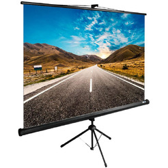 Экран CACTUS TriExpert 160x160 CS-PSTE-160x160-BK