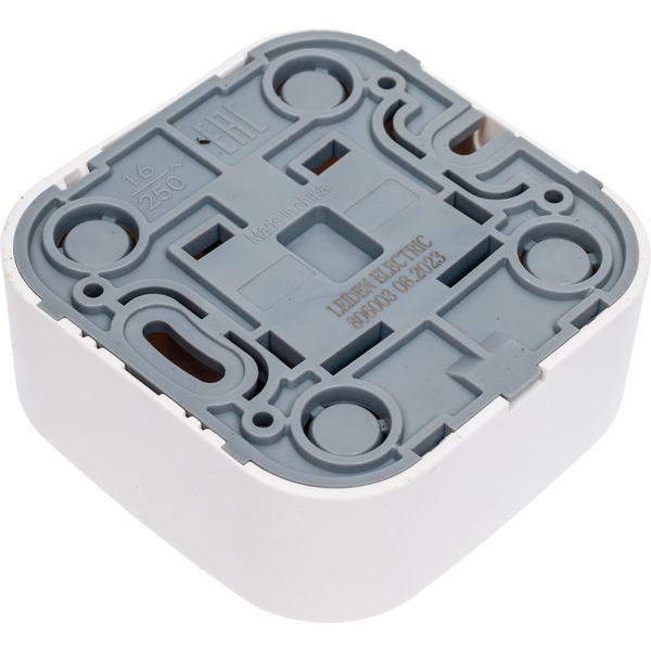 Розетка Leiden Electric Bailly 806003 (белый)