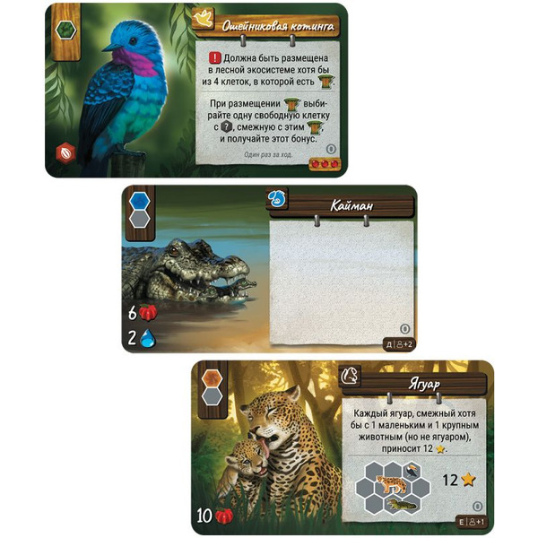 Настольная игра Hobby World Дикая природа Амазонии: Новые обитатели 952117
