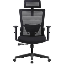 Кресло компьютерное EVOLUTION ErgoLine 1