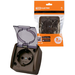 Розетка TDM Electric Селигер SQ1818-0207