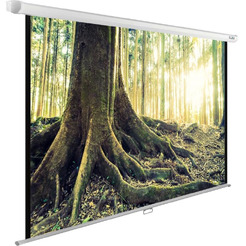 Экран Cactus CS-PSWE-220X220-WT