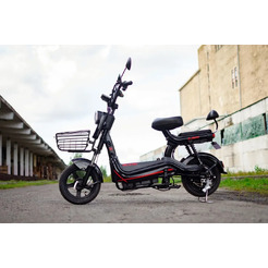 Электрический велосипед AVM DELTA PRO (Черный)