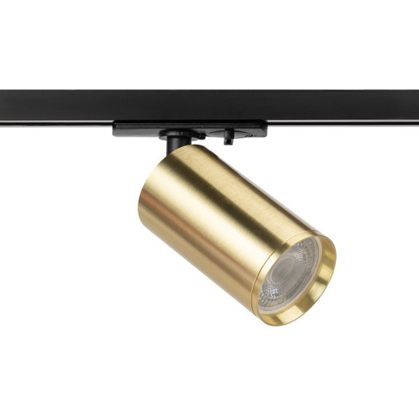 Трековый светильник ЭРА TR39-GU10 BS Б0053311