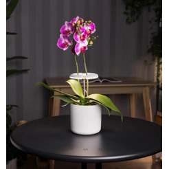 Светильник фито Cactus CS-LED-ORCHID