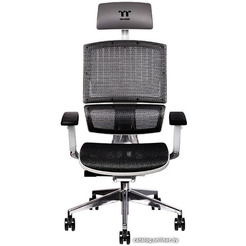 Офисное кресло Thermaltake CyberChair E500 GGC-EG5-BWLFDM-01 (серый)