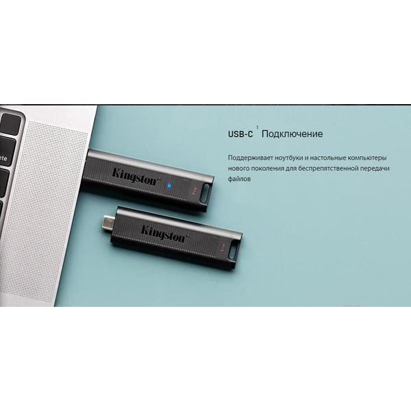 USB Flash Kingston DataTraveler Max 512GB (DTMAX/512GB)