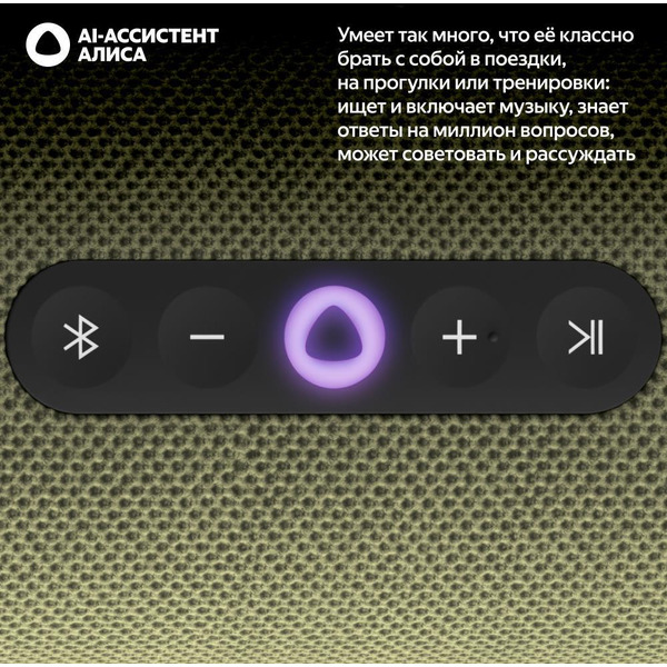 Портативная Умная колонка Яндекс.Станция Стрит YNDX-00030GRN (зеленый)