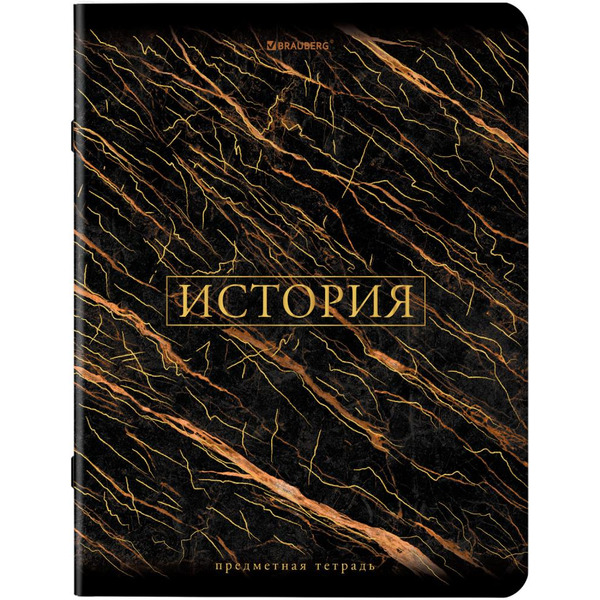 Тетради предметные BRAUBERG 404326 (КОМПЛЕКТ 12 ПРЕДМЕТОВ, 48л, SoftTouch, фольга)