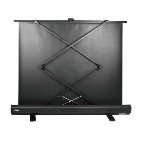 Экран CACTUS FloorExpert CS-PSFLE-160X120