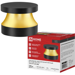 Светильник уличный светодиодный на столб INhome ТБУ-CITY LID-25BL 25Вт