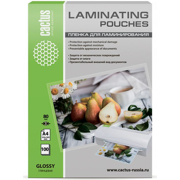 Пленка для ламинирования Cactus CS-LPGA480100