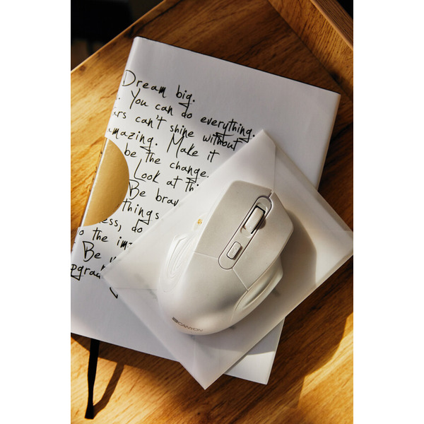 Мышь CANYON CNE-CMSW15PW