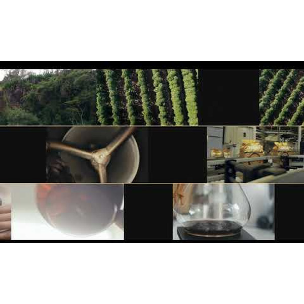 Кофе в зернах Lavazza Qualita Oro INT 500г