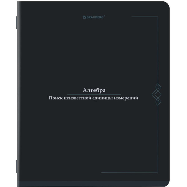 Тетради предметные BRAUBERG 405183 (КОМПЛЕКТ 12 ПРЕДМЕТОВ, 48л, SoftTouch)