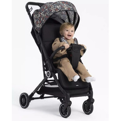Детская прогулочная коляска Rant Juno RA302 (family)