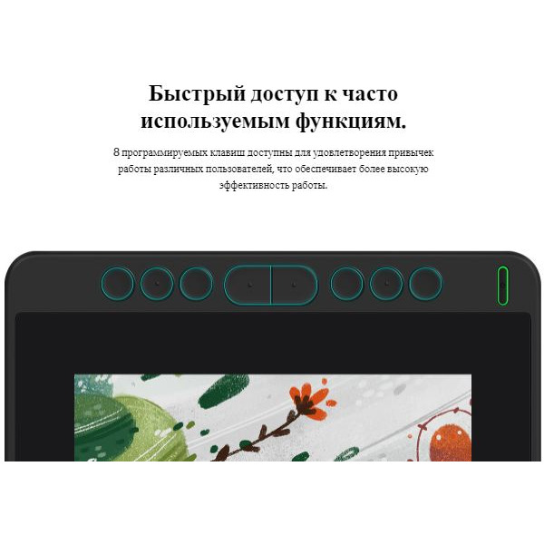 Интерактивный дисплей Huion Kamvas 12 (черный)