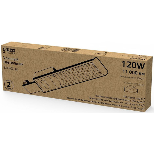 Светильник консольный Gauss 629534320