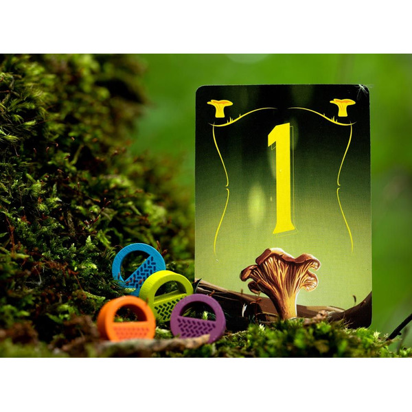 Настольная игра Стиль Жизни Грибные места LS147