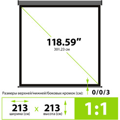 Экран Cactus CS-PSW-213X213-SG