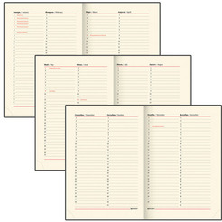 Ежедневник BRAUBERG недатированный Flame 113425 (черный)