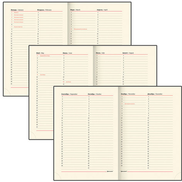 Ежедневник BRAUBERG недатированный Flame 113425 (черный)