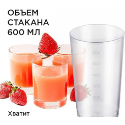 Соковыжималка шнековая RED SOLUTION RJ-930S (золотистый/черный)