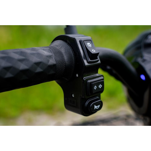 Электроскутер AVM Delta (черный)