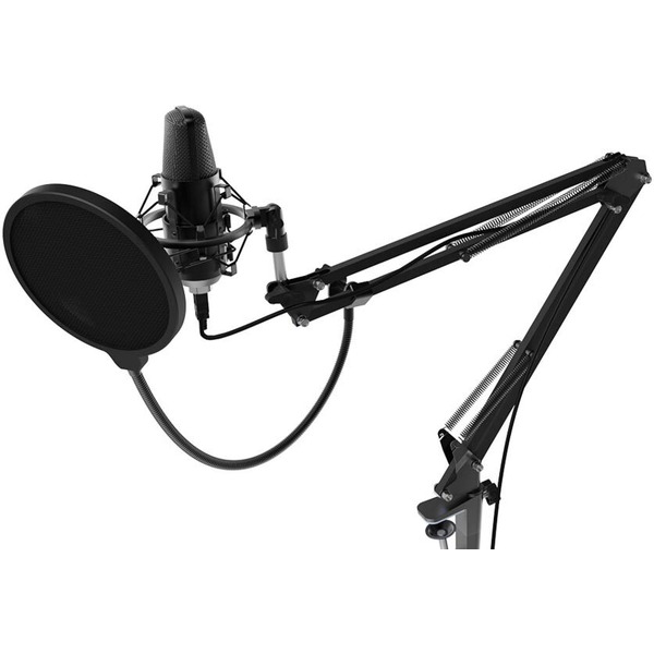 Микрофон Ritmix RDM-169