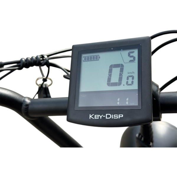 Электровелосипед Smart Balance Hunter (золотистый)