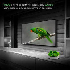 Телевизор Digma DM-LED43UBB31