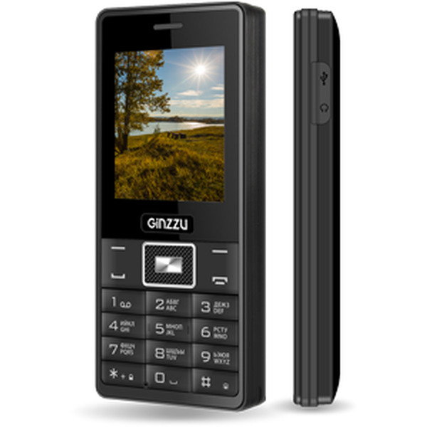 Телефон стандарта gsm GINZZU R4D_B