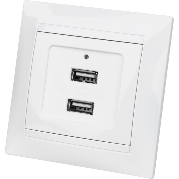 Розетка TDM Лама SQ1815-0041