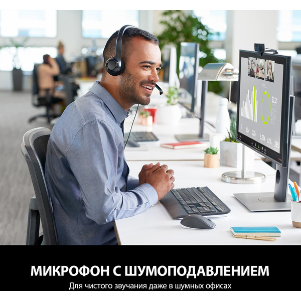 Гарнитура LOGITECH Computer Headset H390 (L981-000406)